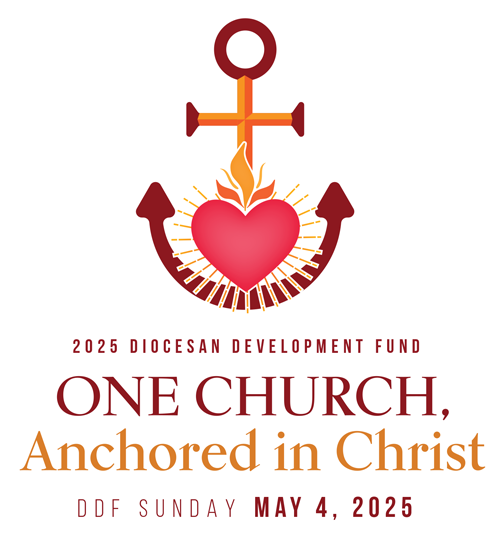 DDF-logo-2025-1